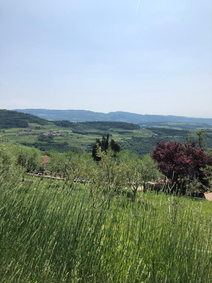 B&B Le Corone - Chalet Nel Bosco Cavalo Экстерьер фото