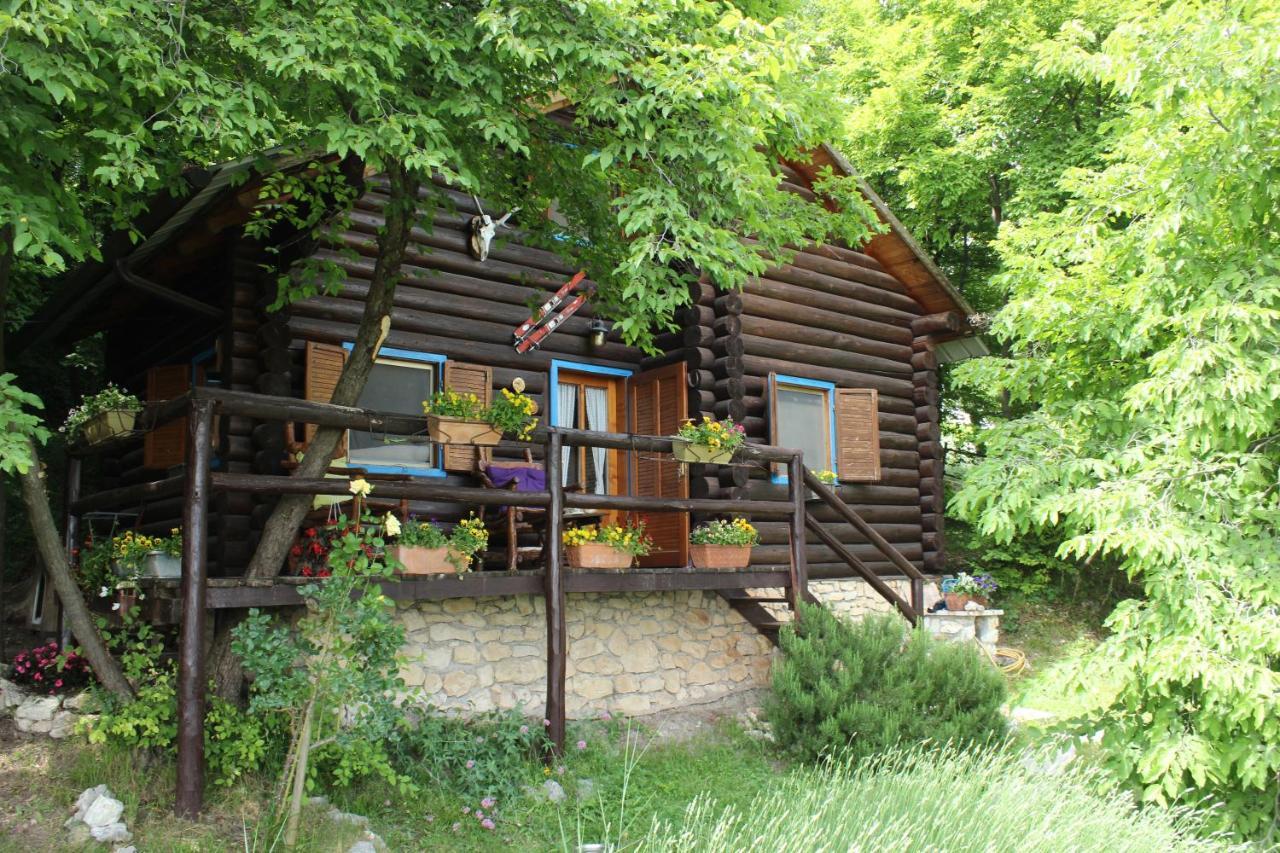 B&B Le Corone - Chalet Nel Bosco Cavalo Экстерьер фото