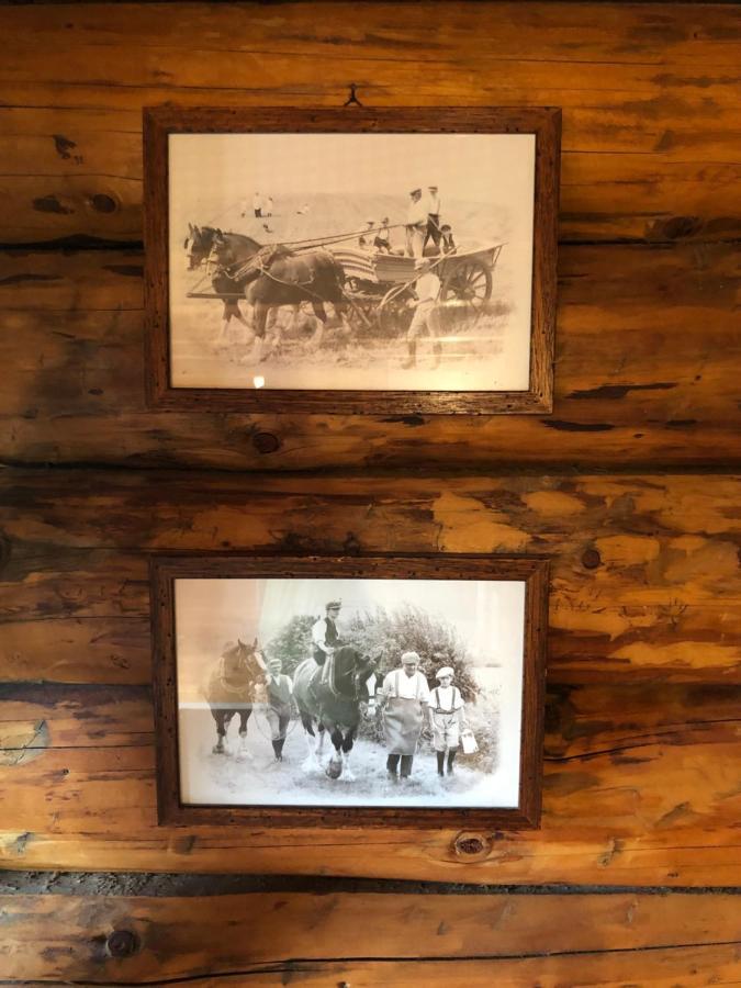 B&B Le Corone - Chalet Nel Bosco Cavalo Экстерьер фото