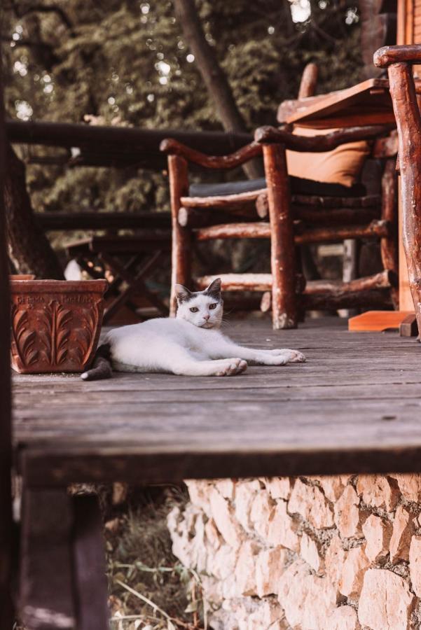 B&B Le Corone - Chalet Nel Bosco Cavalo Экстерьер фото