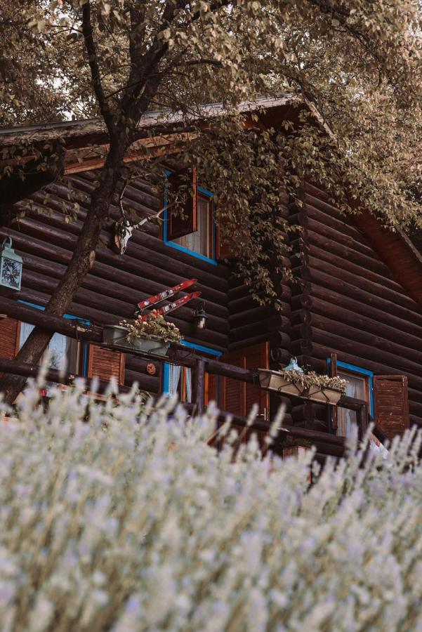 B&B Le Corone - Chalet Nel Bosco Cavalo Экстерьер фото